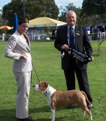 Beenleigh & District Kennel Club - 7th July 2008 - Runner Up Best In Group & Puppy In Group